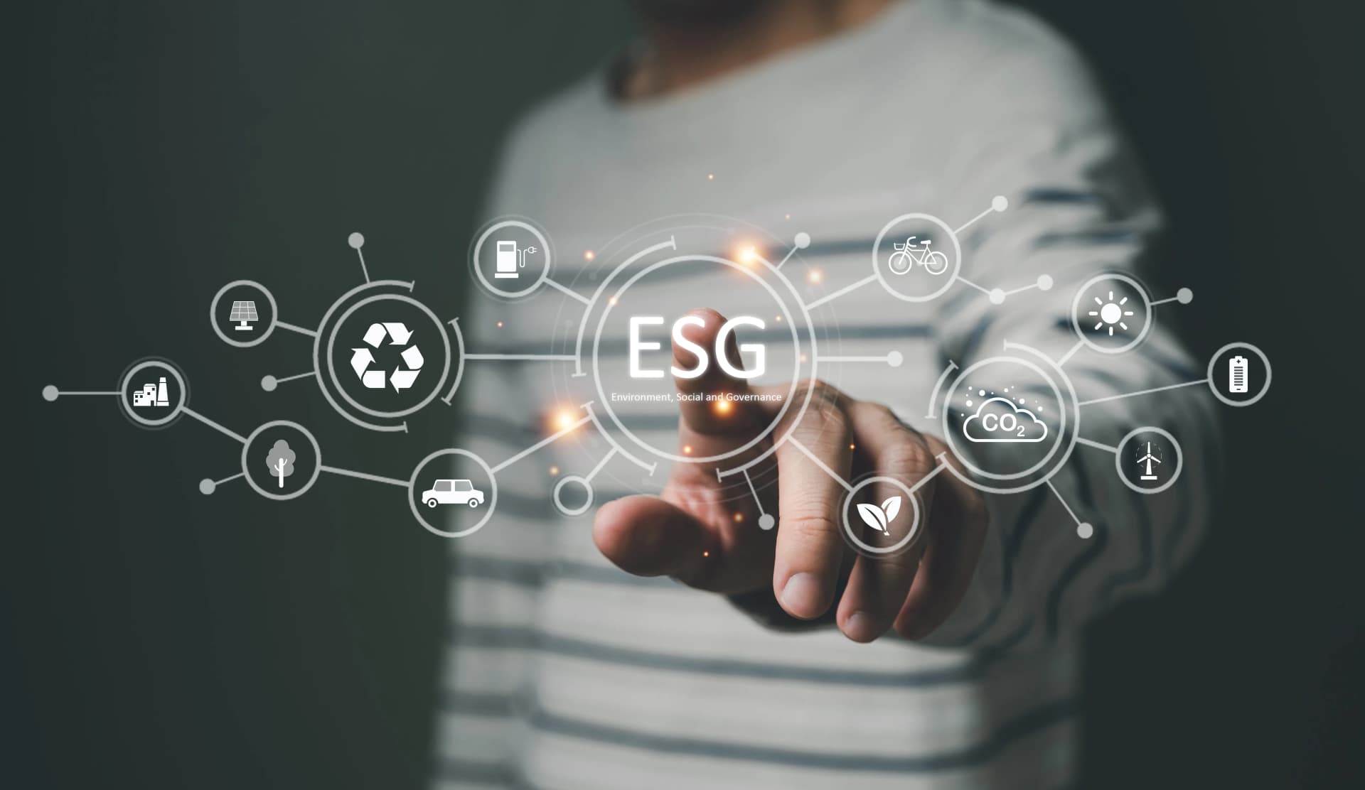 Overview of the Case in Which ESG Risk Was at Issue