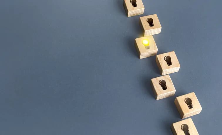 Expert support for international trademark applications
