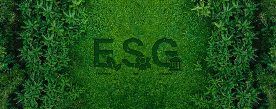 ESG Issues | The Significance of the Adoption of Omnibus I