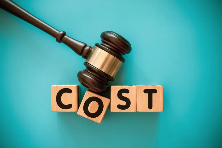 Criminal Litigation Costs | Principal Contents of the Amendment