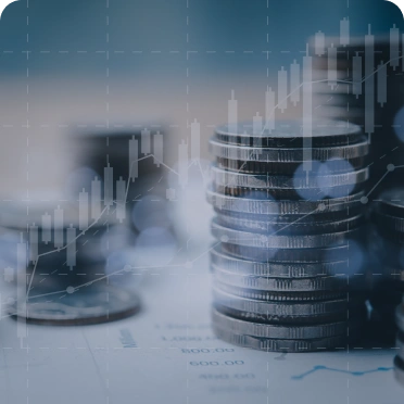 Finance and Capital Markets