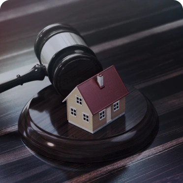 Family Law