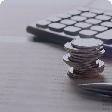 International Tax and Customs